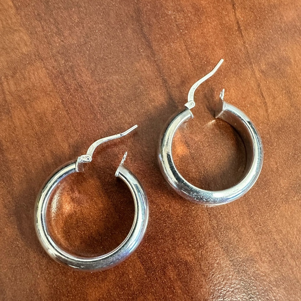Dyadema Sterling over Bronze Earrings
